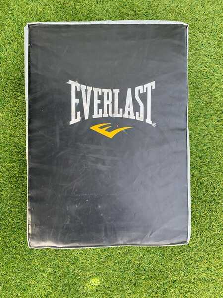 Everlast Strike Shield