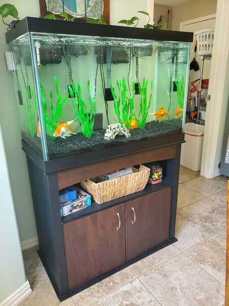 Aqueon 65 online gallon aquarium