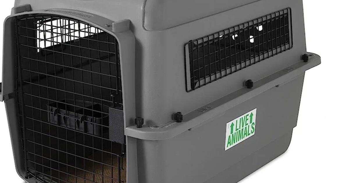 3 Dog Crates Blankets..towels for Free in Ormond Beach, FL For Sale & Free — Nextdoor