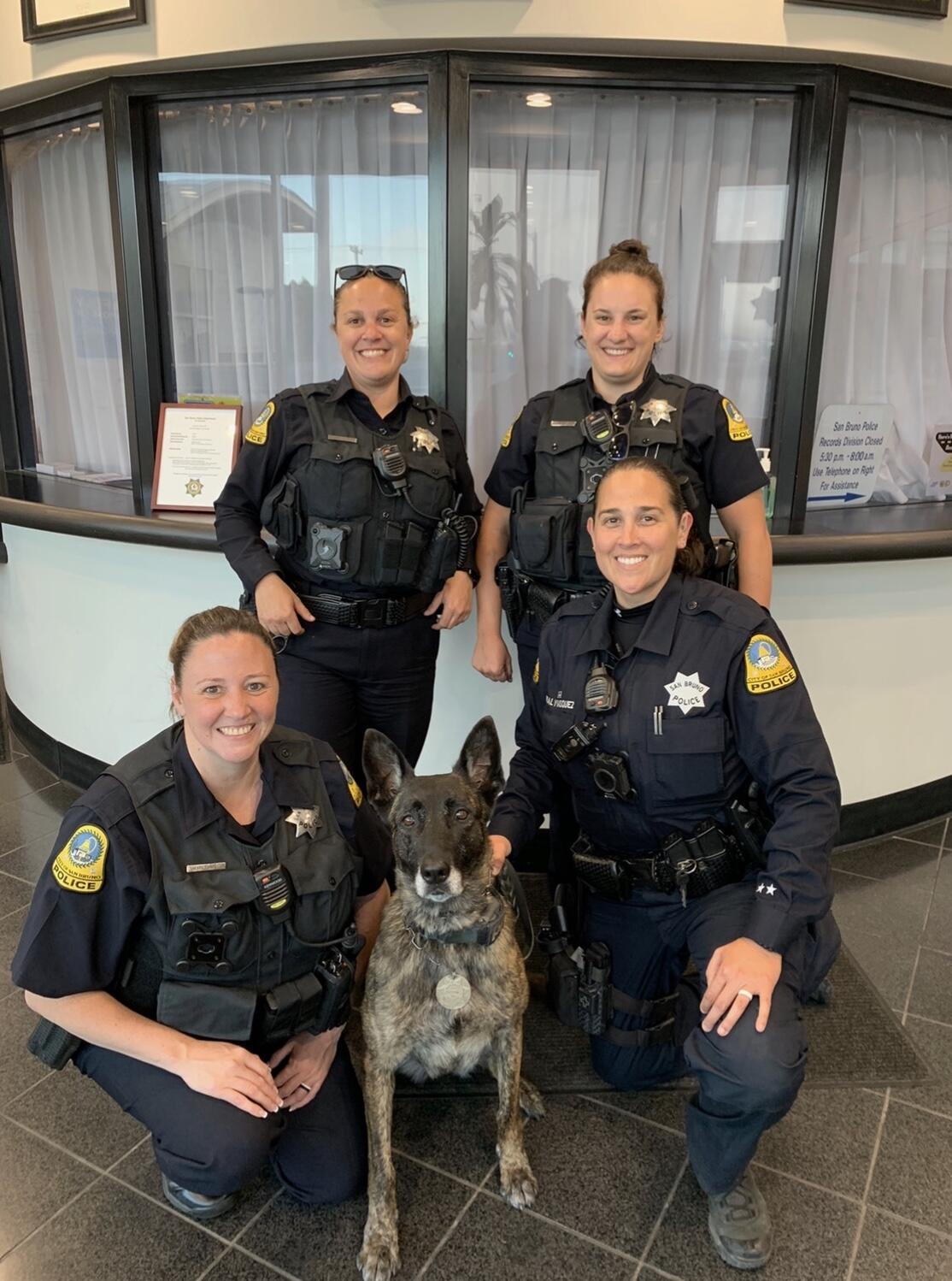 Sonoma Sheriff - It's #NationalDogDay!! Today we celebrate our four-legged  partners who work hard and help us keep you safe. K9 Bruno will be getting  lots of extra love today (and maybe