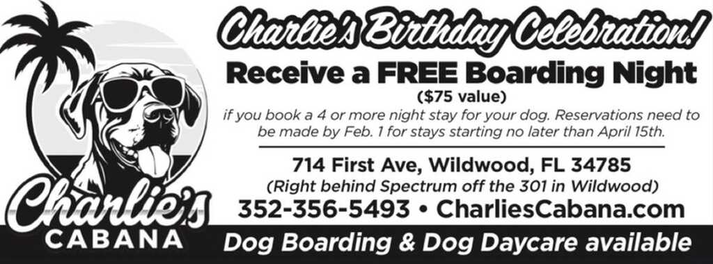 Cabana online doggie daycare