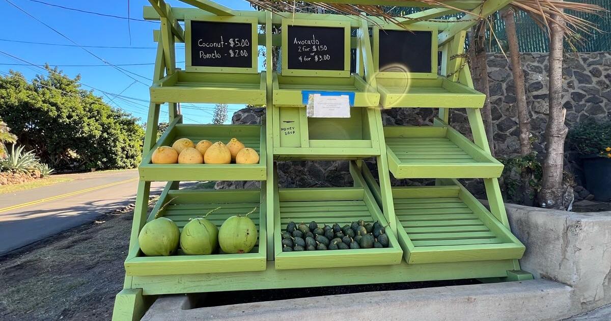 Fruits for sale in Kihei, HI For Sale & Free — Nextdoor