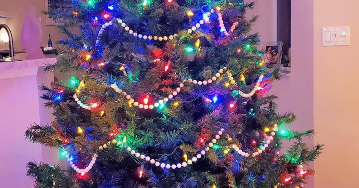 Christmas Tree free for Free in Leesburg, FL For Sale & Free — Nextdoor