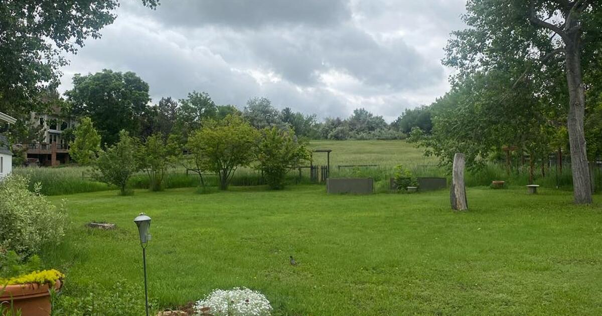 Remodeled Basement Apartment in Niwot for 1700 in Niwot, CO Finds