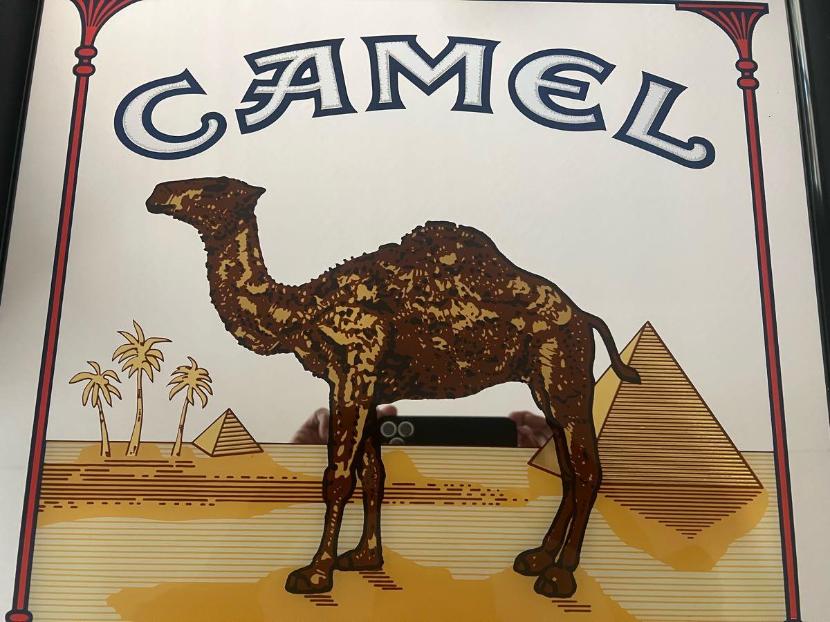 camel capsule cigarettes list Still 'Cool': tobacco industry responds to state-wide menthol ban with  synthetic coolants