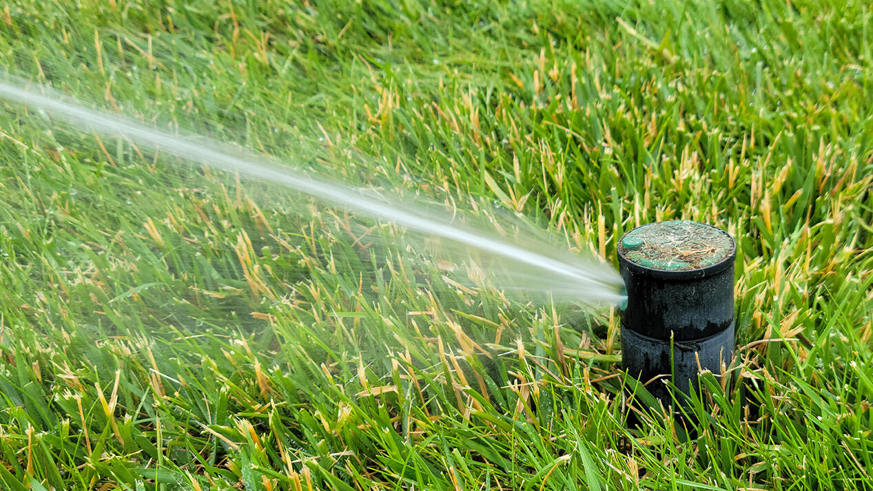 Reporting leaks and broken sprinklers on Metro District property helps conserve water