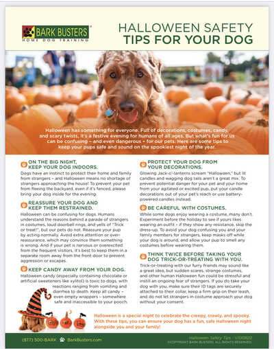 Bark Busters Lake Norman Nextdoor