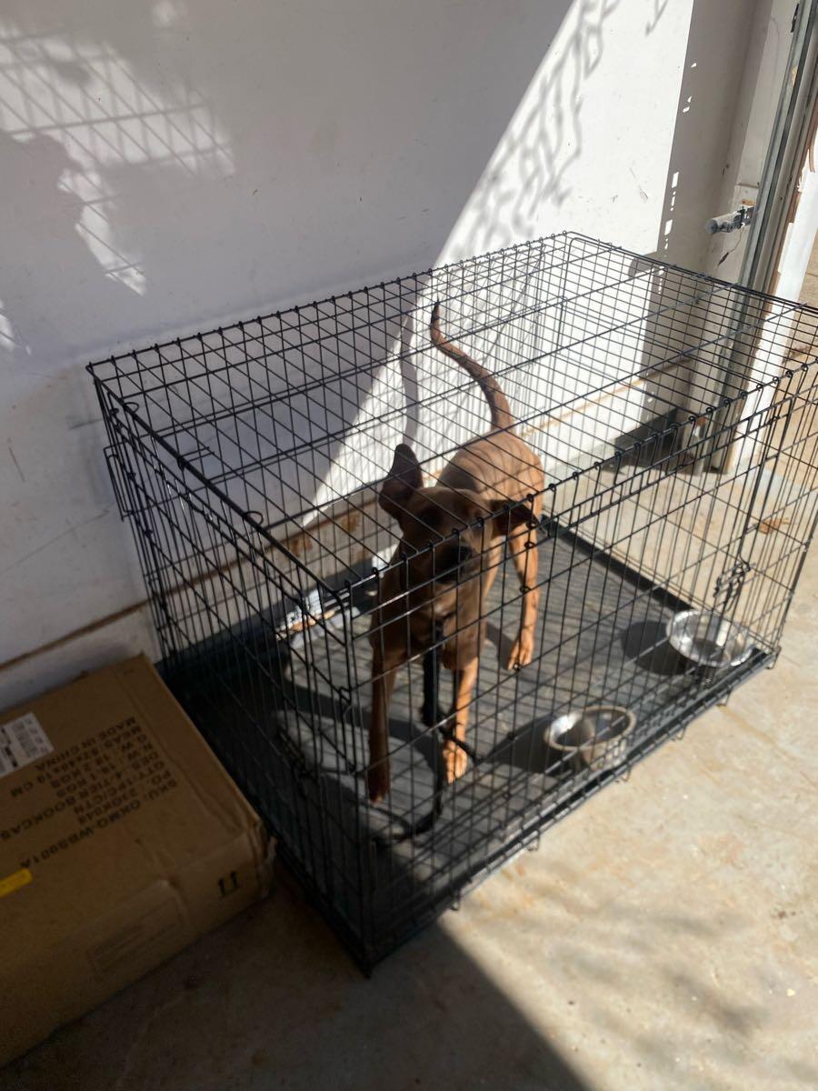 Crooked Creek, Covington Everything You Need to Know