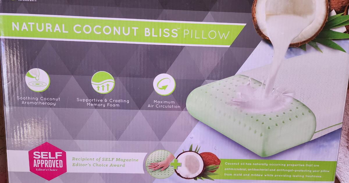 Natural Coconut Bliss Pillow for 30 in Woodlyn PA For Sale Free Nextdoor