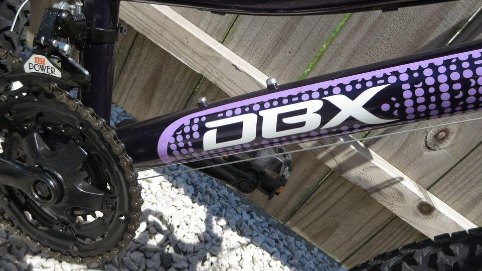 Dbx 24 best sale inch bike