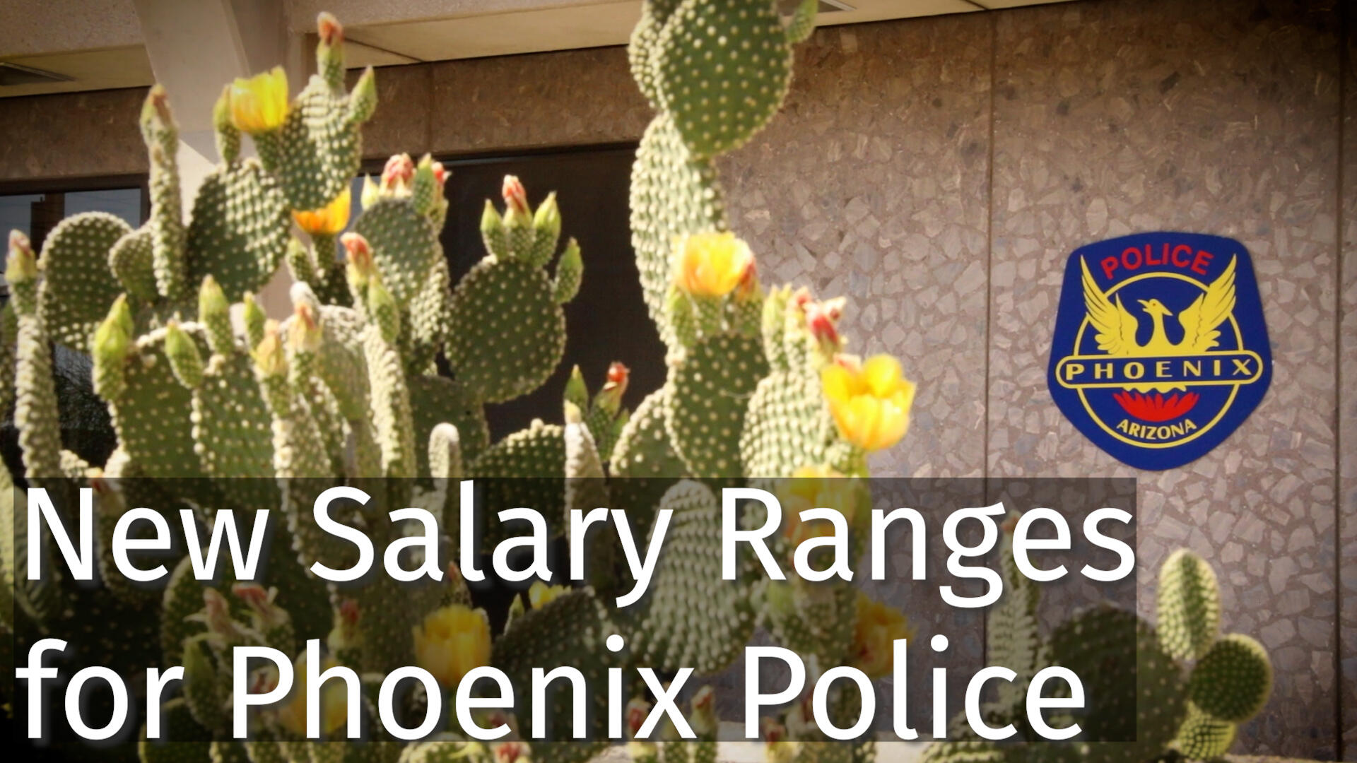 New Salary Ranges for Phoenix Police (Phoenix Police Department