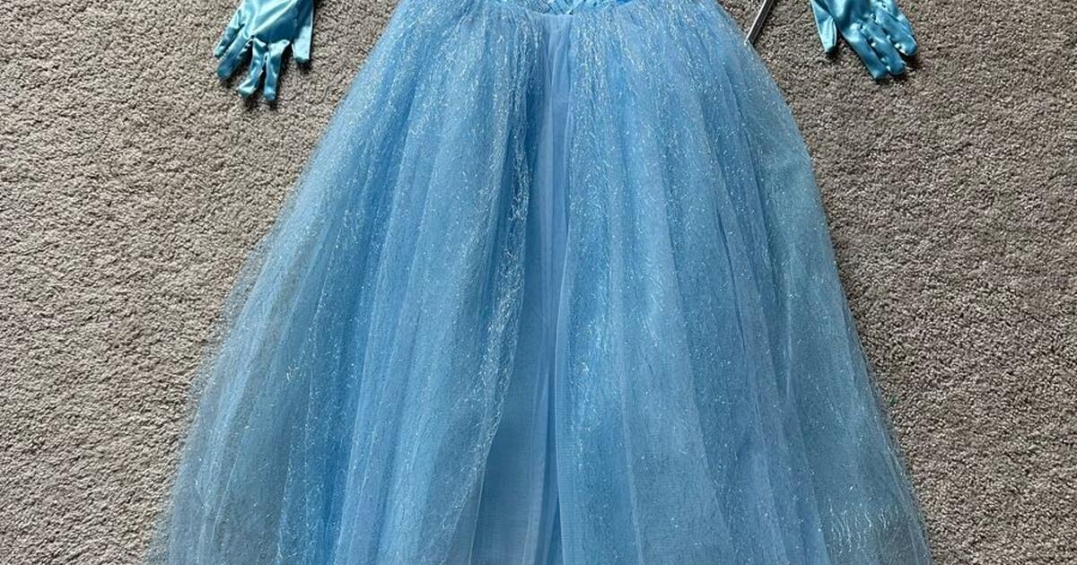 Costume dress for 20 in Simpsonville, SC For Sale & Free — Nextdoor