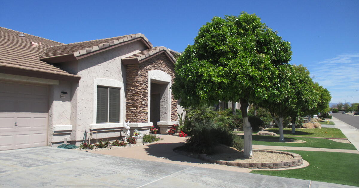 free sweet grapefruit and oranges for Free in Mesa, AZ For Sale