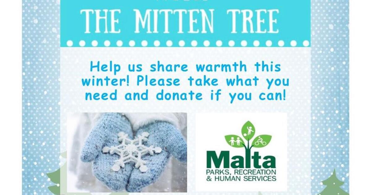 Giving Tree for Free in Ballston Spa, NY For Sale & Free — Nextdoor