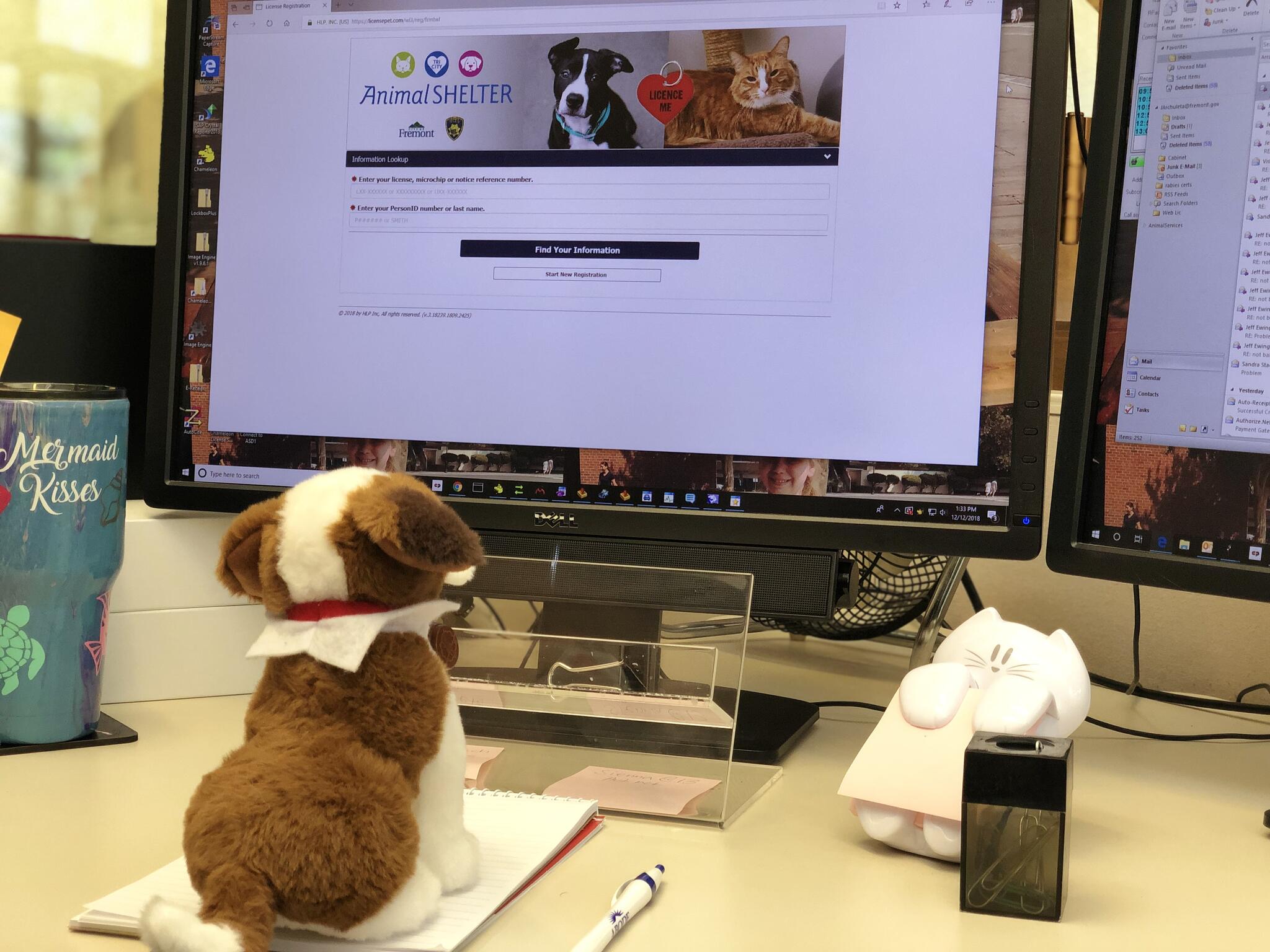 Pet licensing is now online! (Fremont Police Department) — Nextdoor