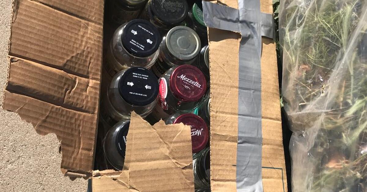 free glass jars with lids 2 boxes of them at curb for Free in Glendale, AZ For Sale & Free
