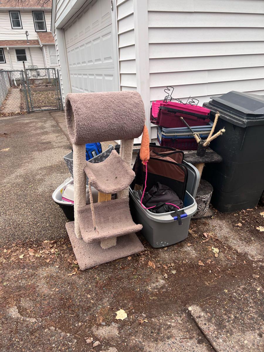 Free Cat Stuff for Free in Minneapolis, MN For Sale & Free — Nextdoor