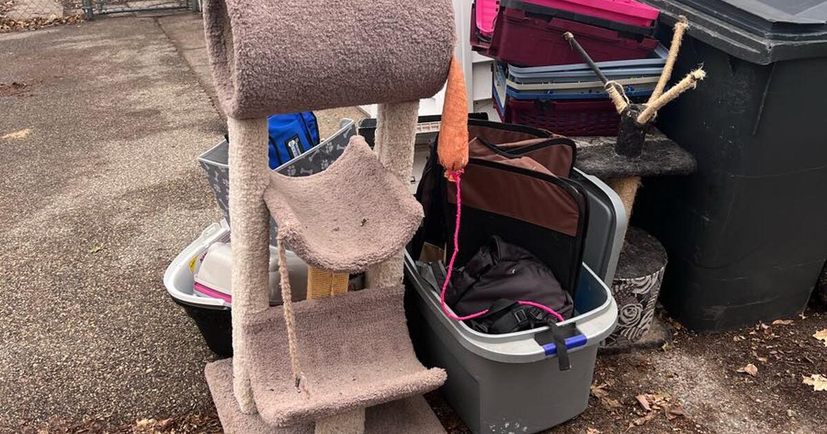 Free Cat Stuff for Free in Minneapolis, MN For Sale & Free — Nextdoor