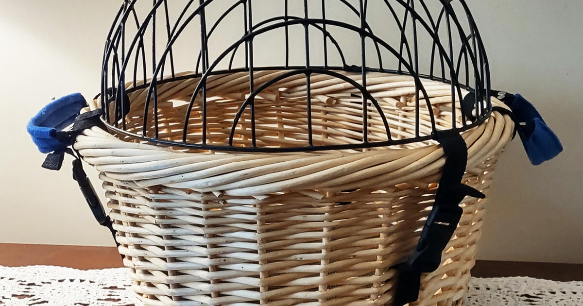 Wicker Carrier for Cat or Small Dog for 85 in Shallotte, NC For Sale