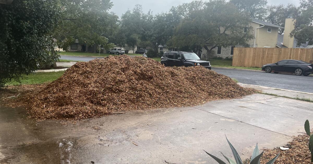 Cedar Wood Chips for Free in Austin, TX For Sale & Free — Nextdoor