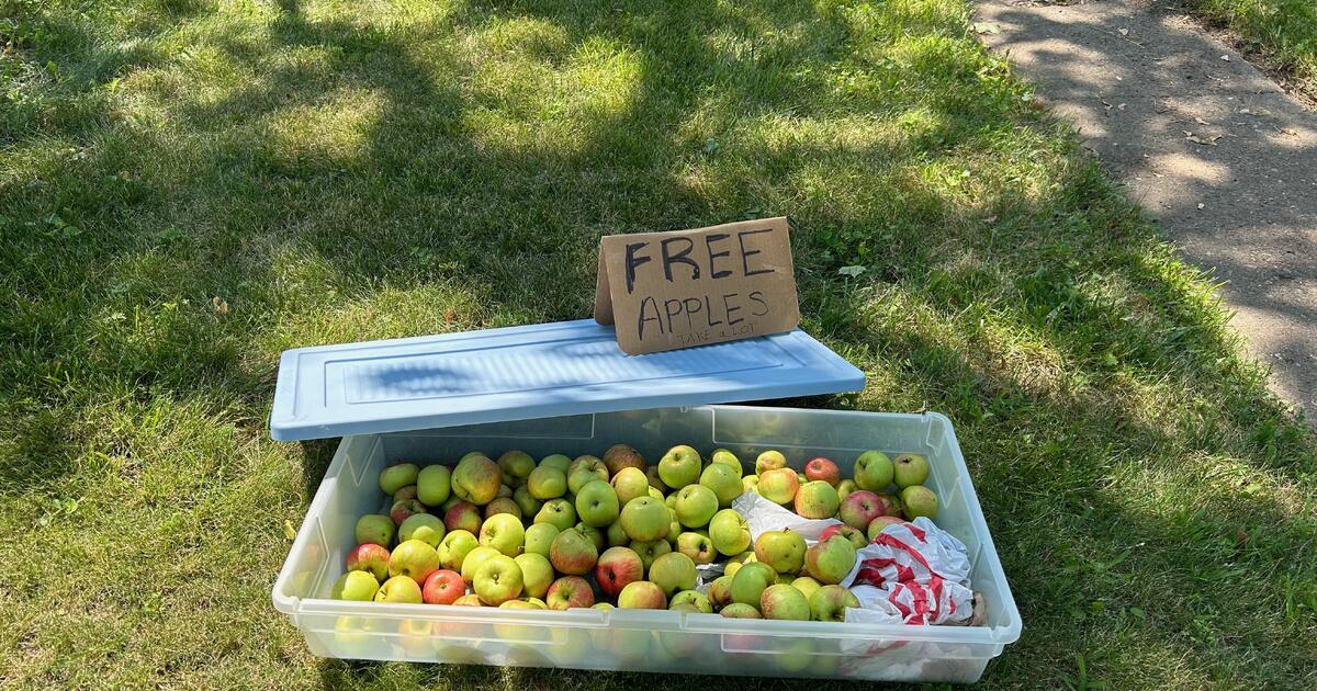 free-apples-for-free-in-madison-wi-for-sale-free-nextdoor