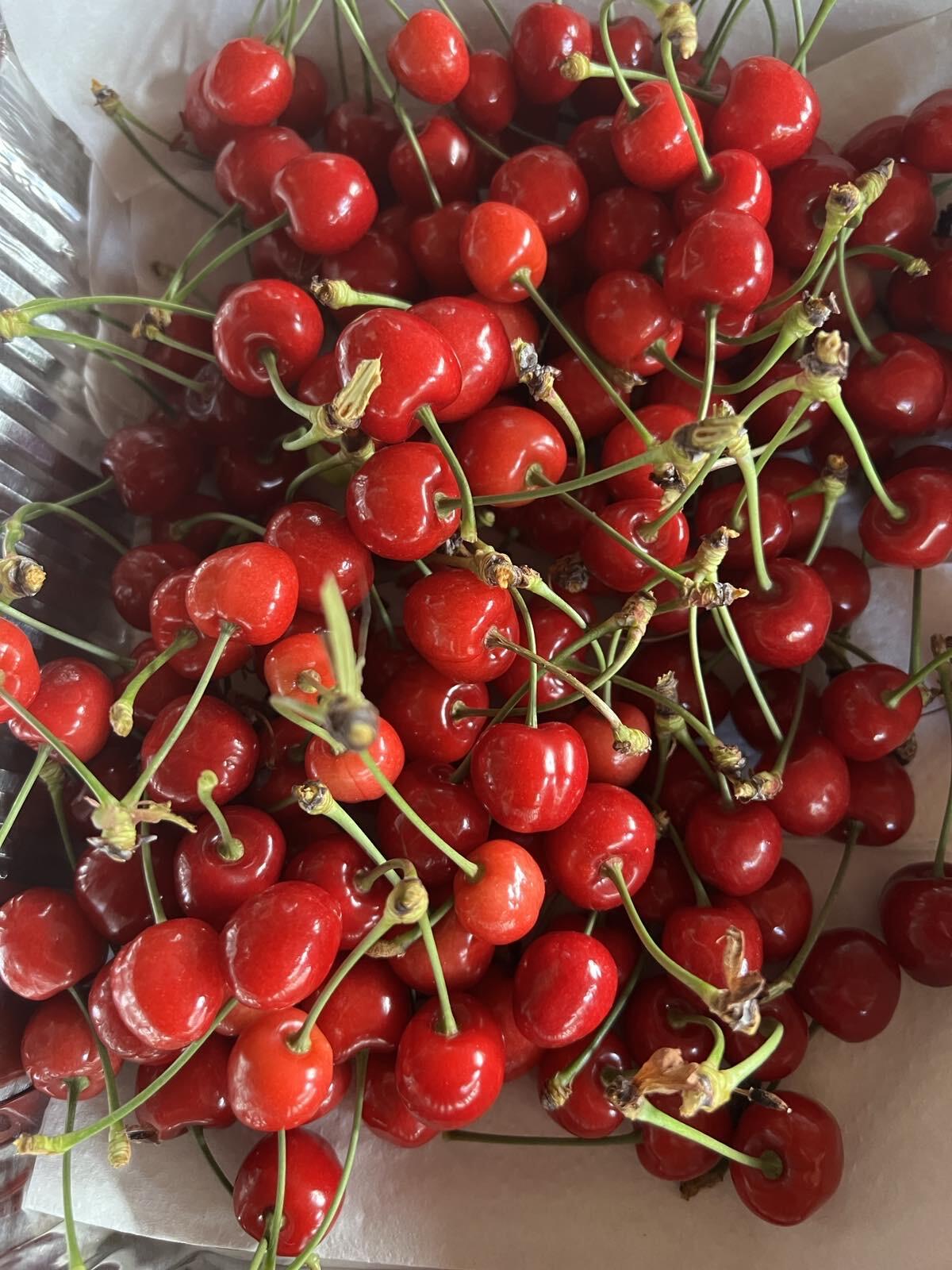 looking-for-extra-food-fruits-veggies-food-for-free-in-denver-co