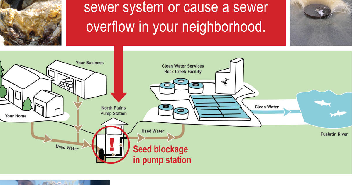 The great North Plains seeds mystery. — Nextdoor