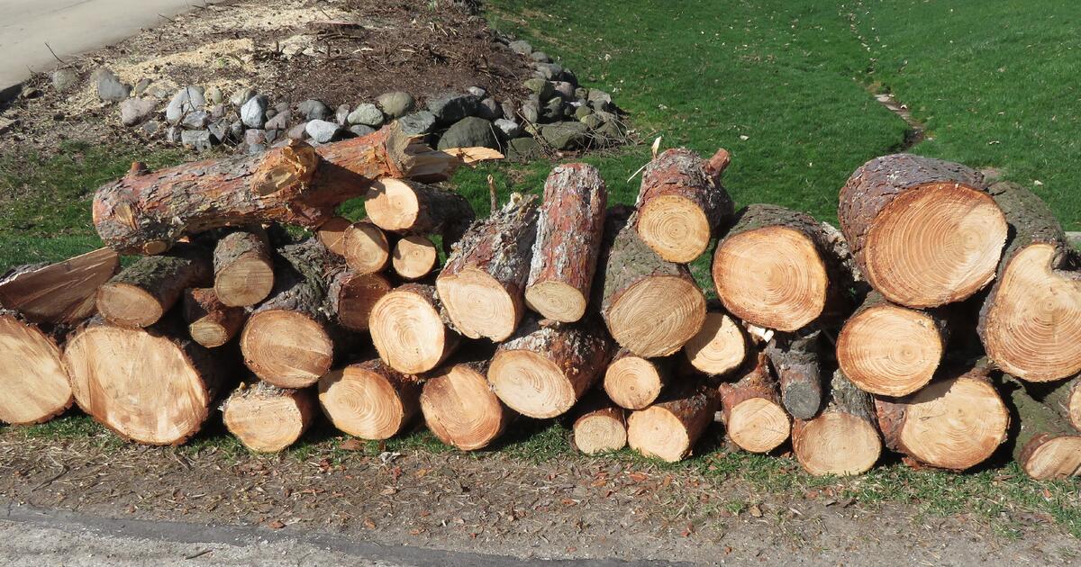 FREE FIREWOOD & SMOKEWOOD Ponderosa Pine & AppleWood for Free in New Berlin, WI Finds — Nextdoor