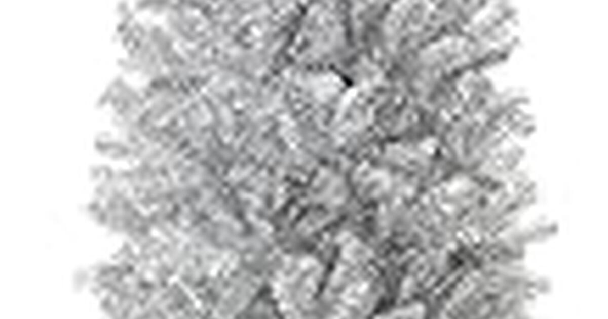 Silver Christmas Tree for a family in need. for Free in Goodyear, AZ