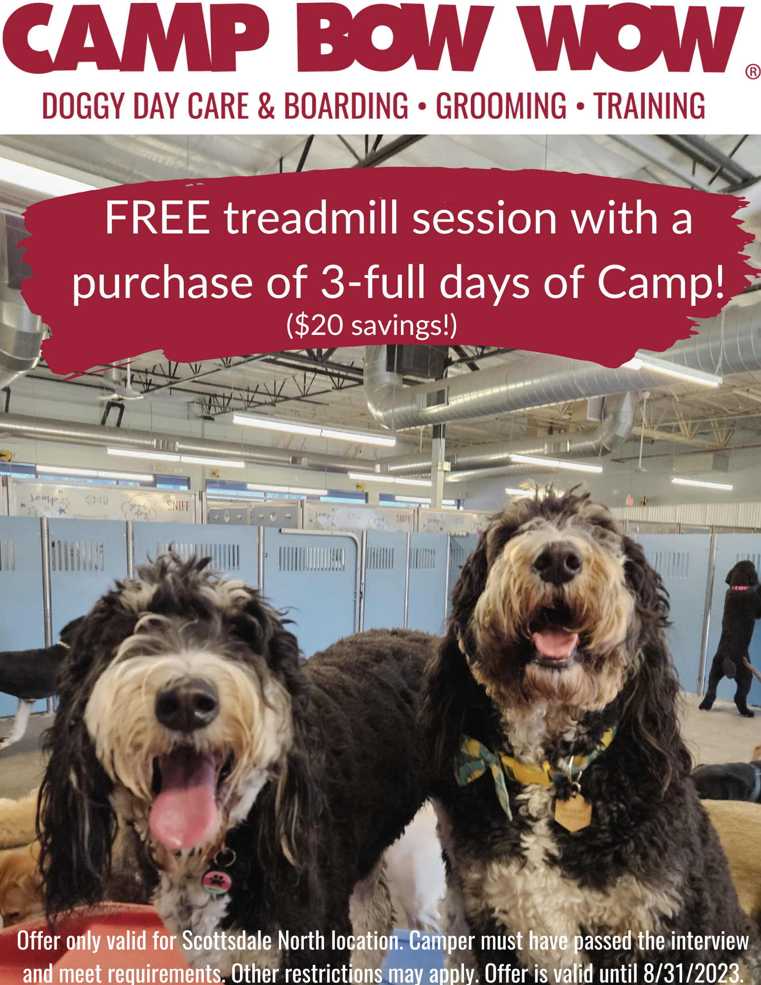 Camp bow wow outlet training prices