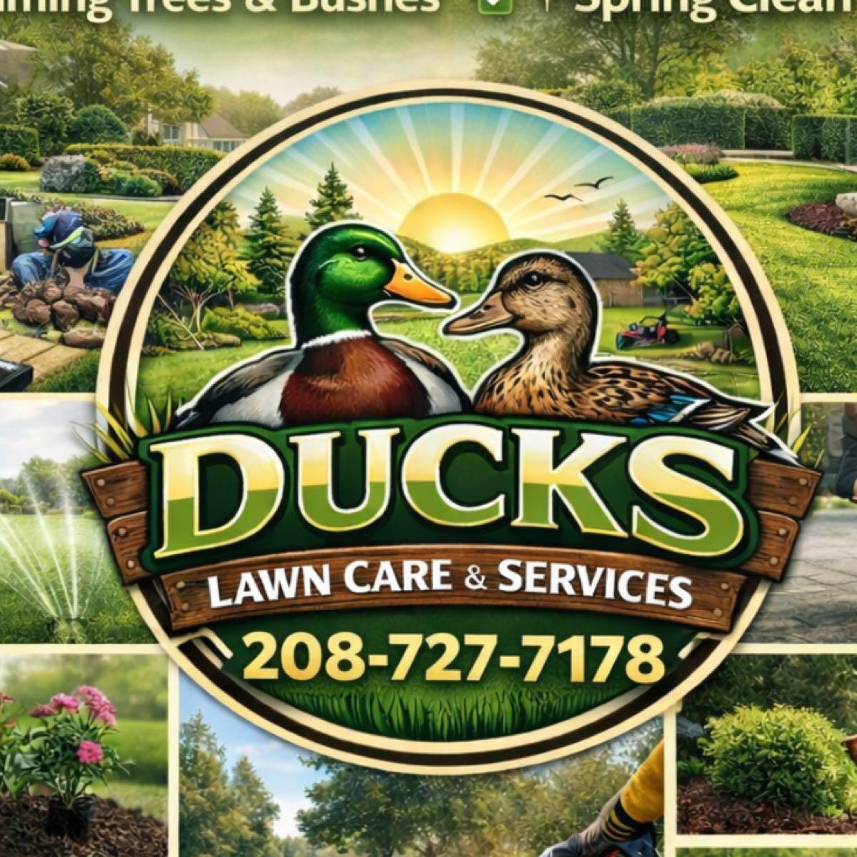Localized Grass Ducks Lawn Care & Services LLC - Nextdoor