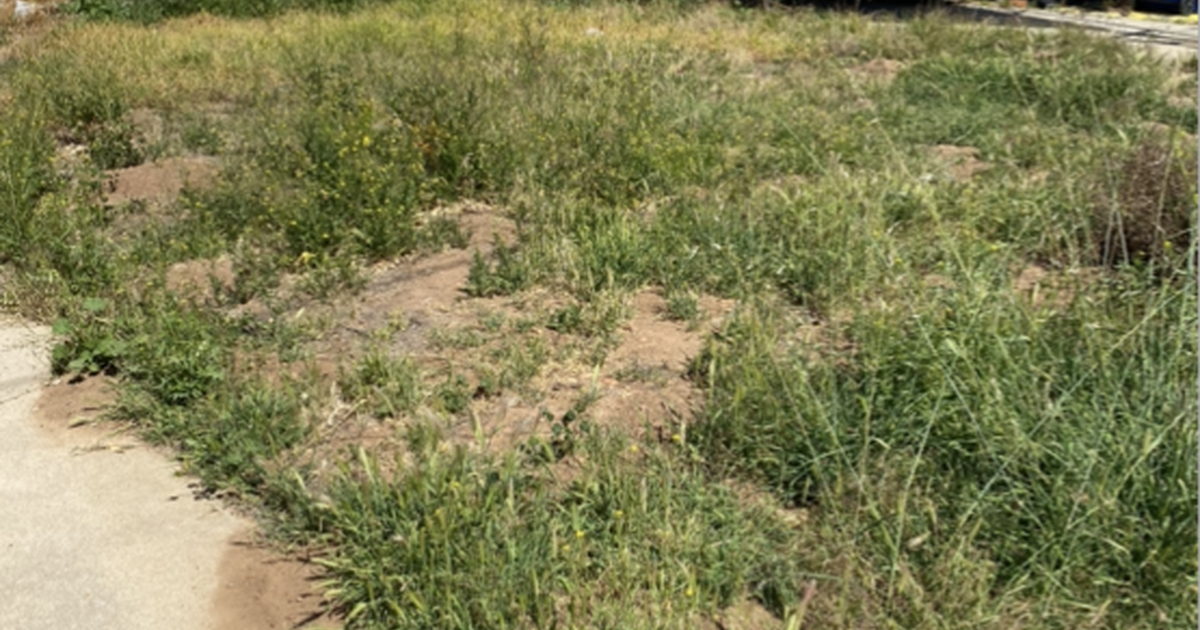 Landscape cleanups in Chula Vista, CA Finds — Nextdoor