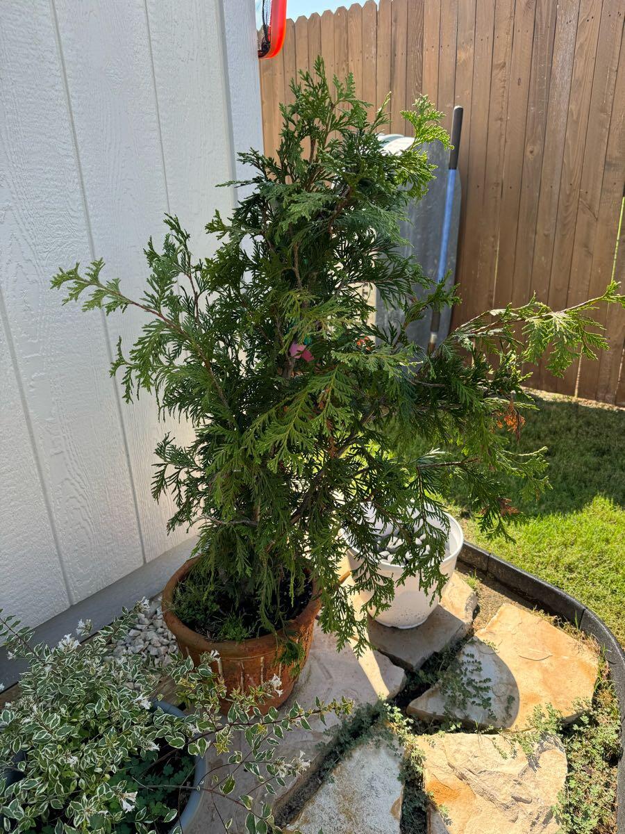 Moving sale…wife said if I don’t get rid of stuff I have to move…either