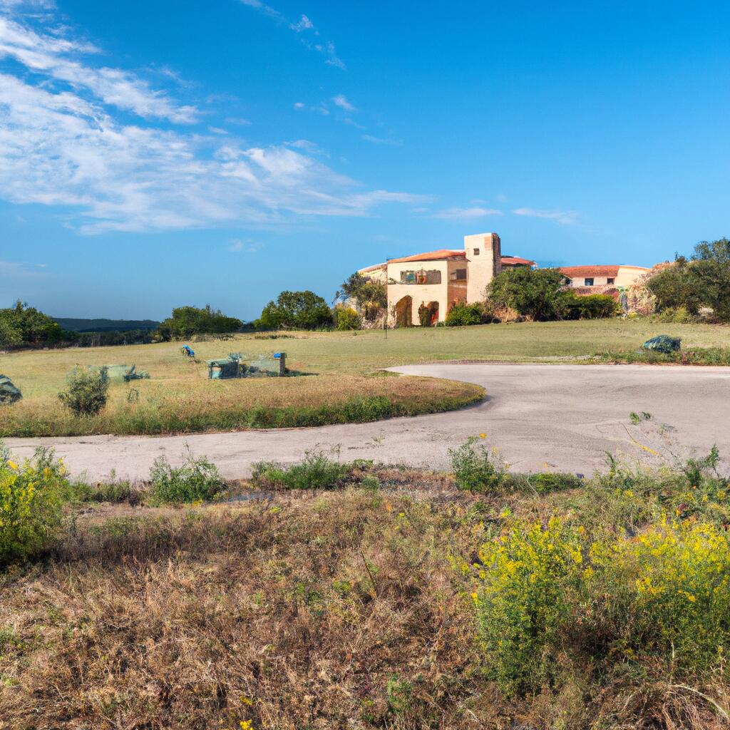 Ventana, Bulverde News, Crime, Lost Pets, Free Stuff