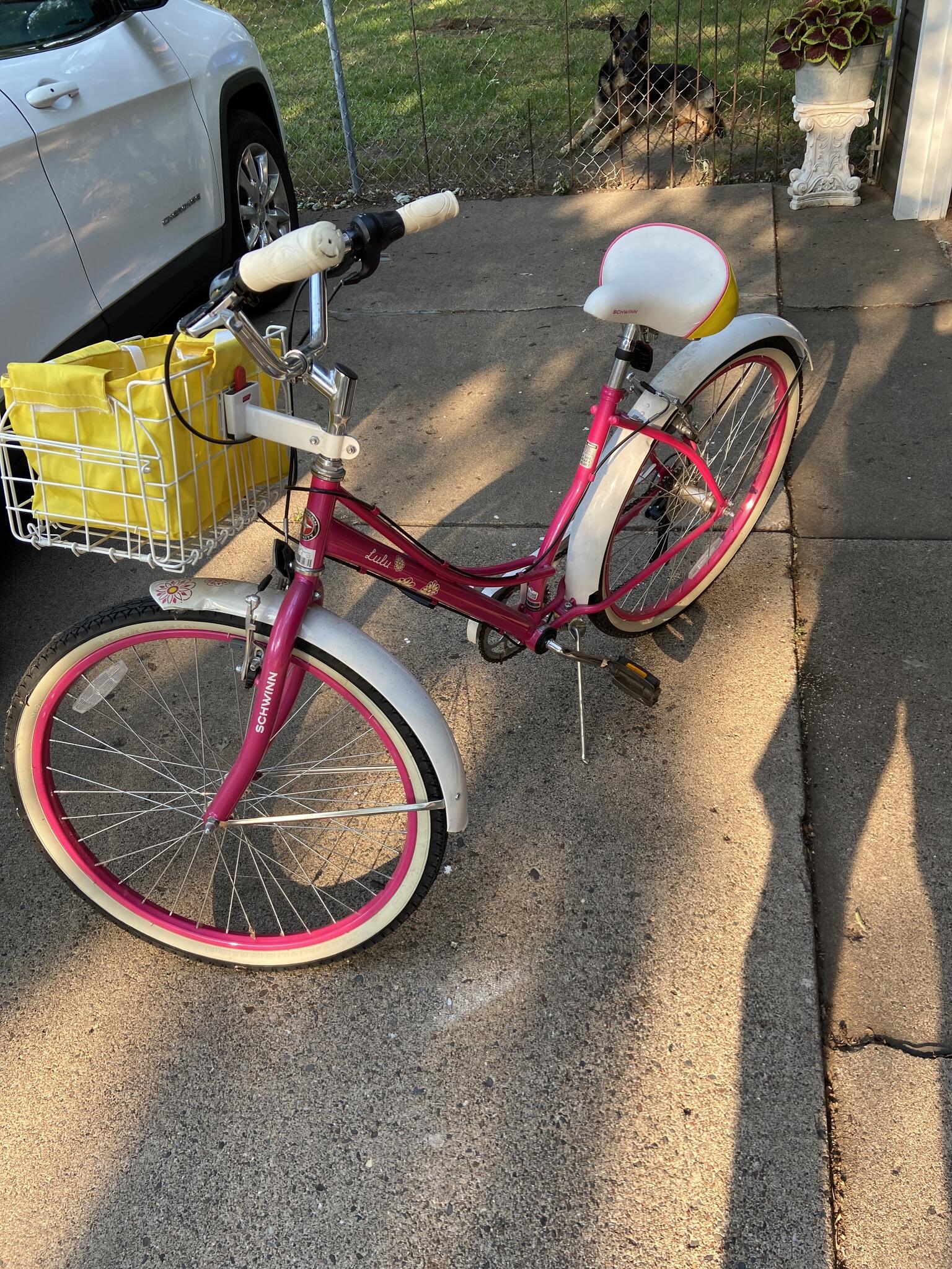 Schwinn Girls Lulu Bike For 200 In Minneapolis MN For Sale Free Nextdoor