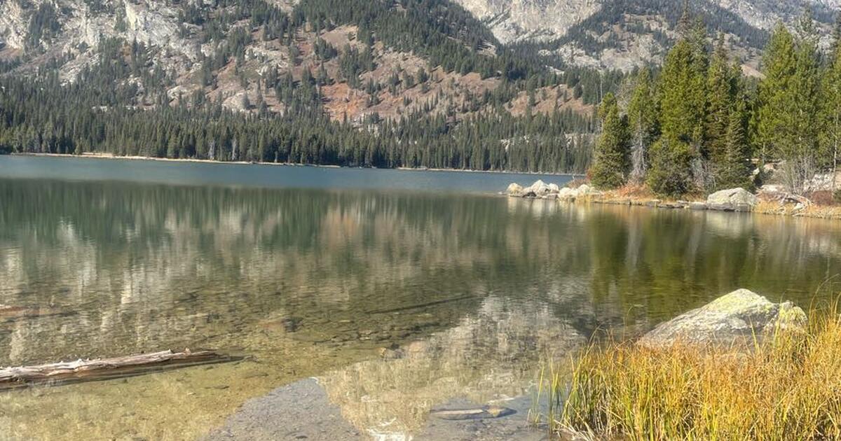 Looking for short term rental for Free in Belmar, NJ For Sale & Free