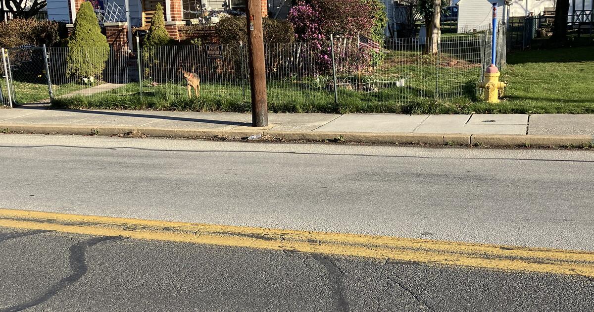 House for sale by owner for 175000 in Biglerville, PA For Sale