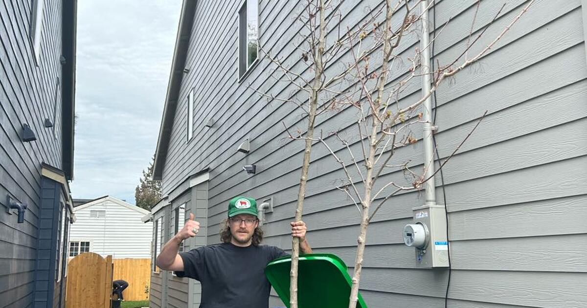 free trees for Free in Portland, OR Finds — Nextdoor