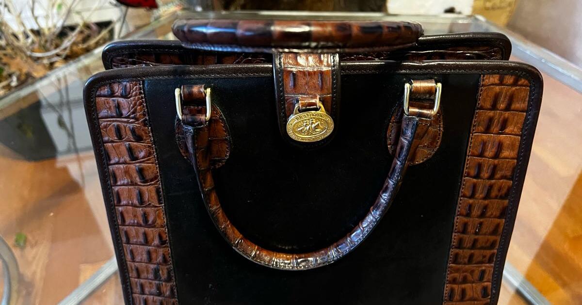 Brahmín purse for 30 in Hamilton, TX For Sale & Free — Nextdoor