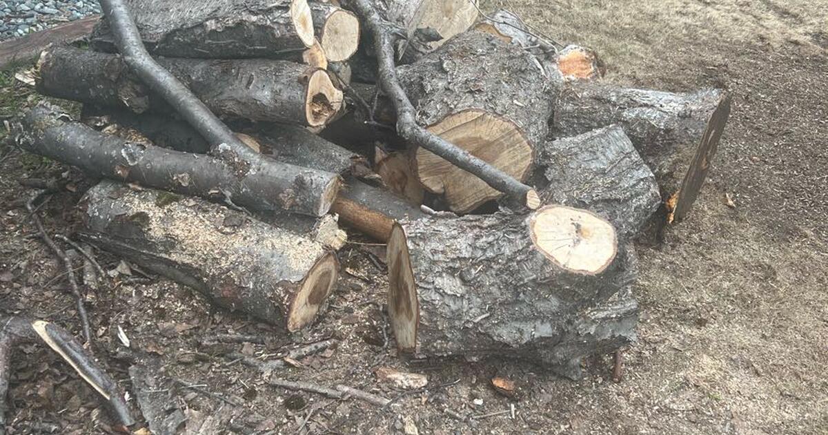 Firewood for Free in Anchorage, AK Finds — Nextdoor
