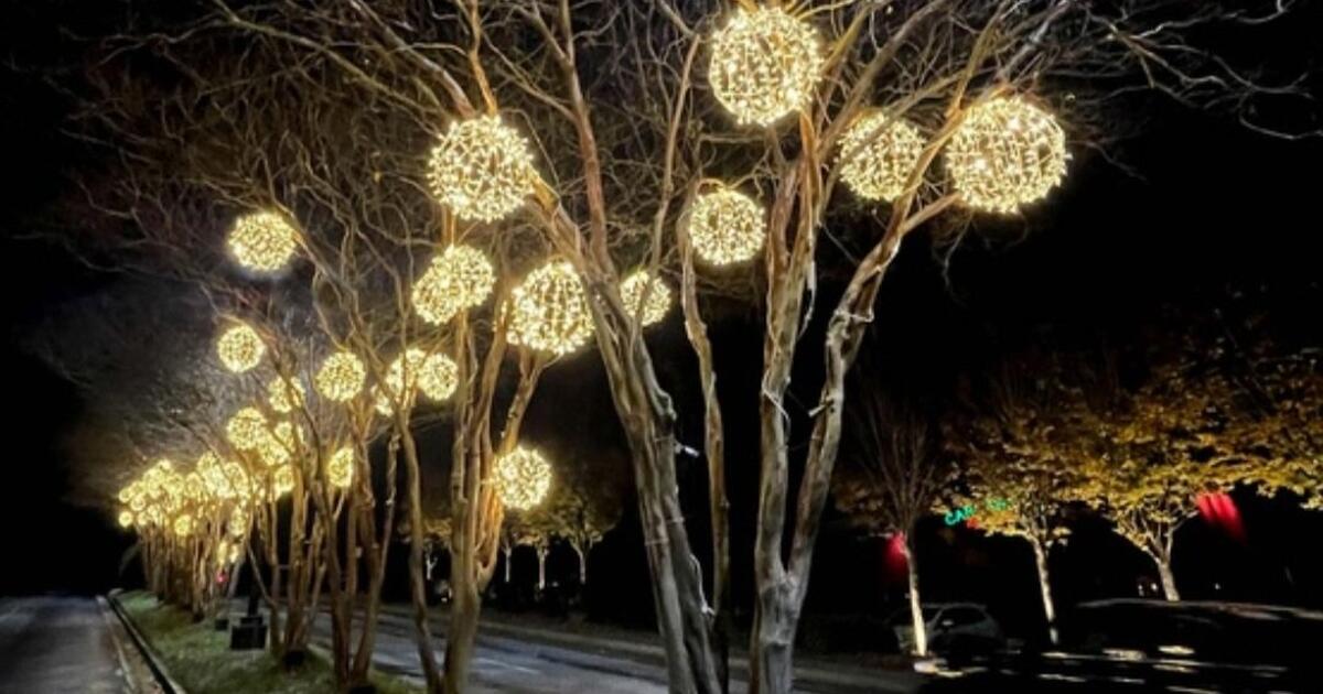 Christmas Lights Balls for 15 in Durham, NC For Sale & Free — Nextdoor