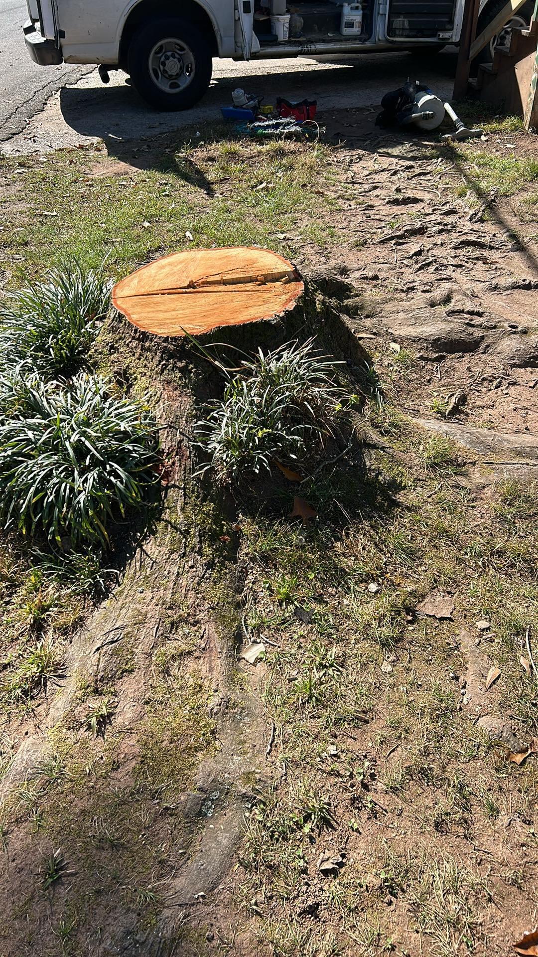 Stump Grinder for Free in Lawrenceville, GA For Sale & Free — Nextdoor