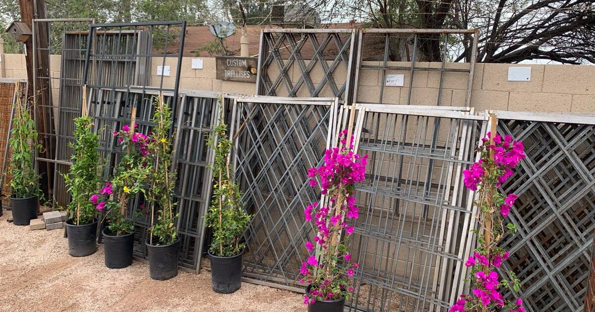 Trellises, vines and garden boxes for 77780 in Chandler, AZ Finds — Nextdoor