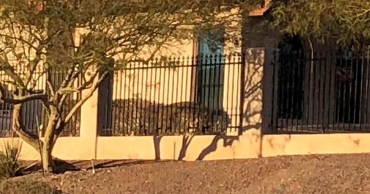 Wrought iron fencing for 375 in Lake Havasu City, AZ Finds — Nextdoor
