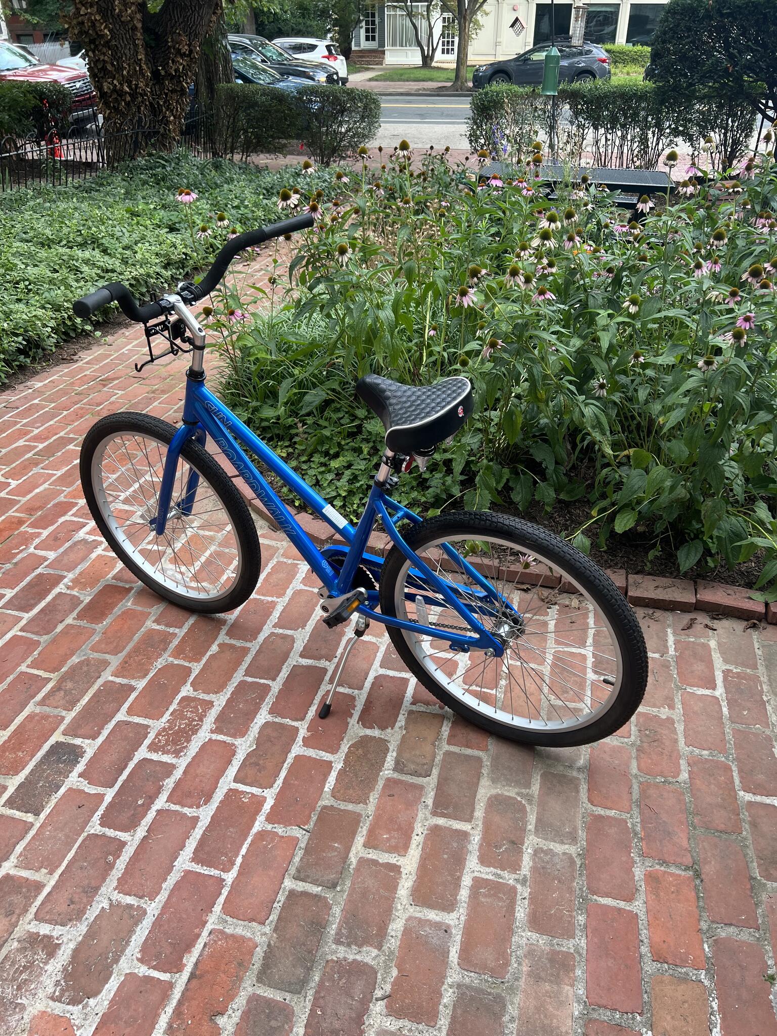 sun bike boardwalk