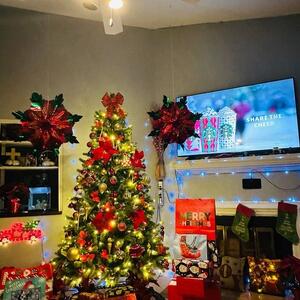 Christmas Tree decoration does not included