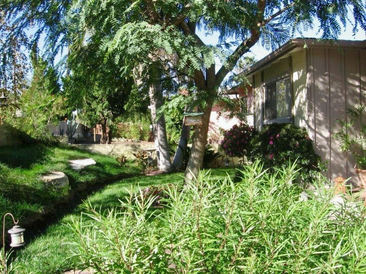 Beautiful Lomita Pines House for Rent for 3400 in Palos Verdes Estates
