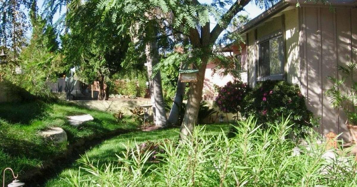 Beautiful Lomita Pines House for Rent for 3400 in Palos Verdes Estates