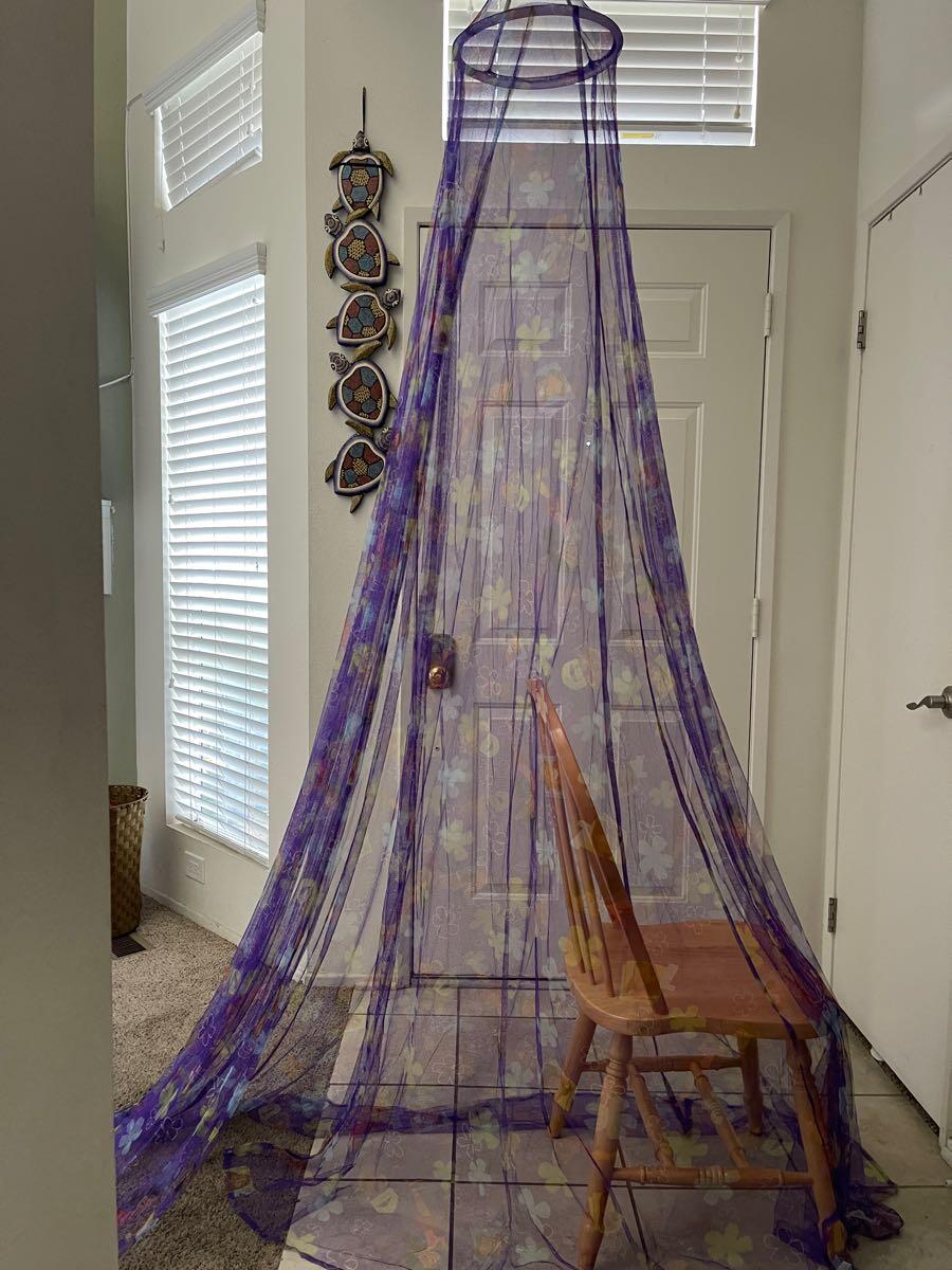 The Proud Family Bed Canopy For $5 In Ventura, CA