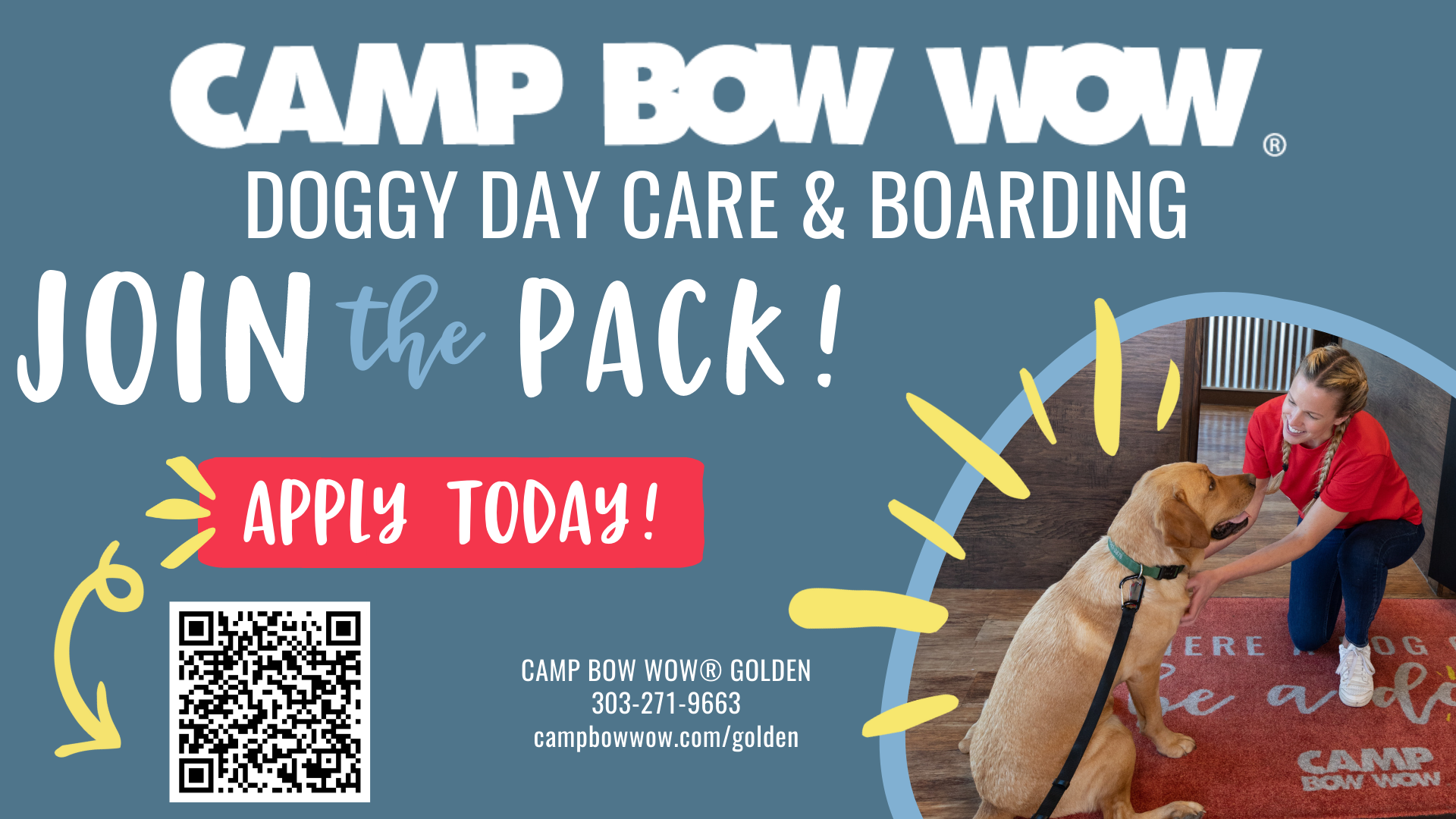 Camp bow wow application hotsell